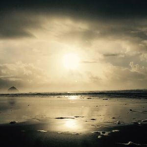 Meet your Posher, Rainie